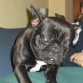 mi jimboo...qe cara mas wapaa